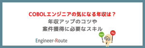 COBOLエンジニアの気になる年収は？年収アップのコツや案件獲得に必要なスキル